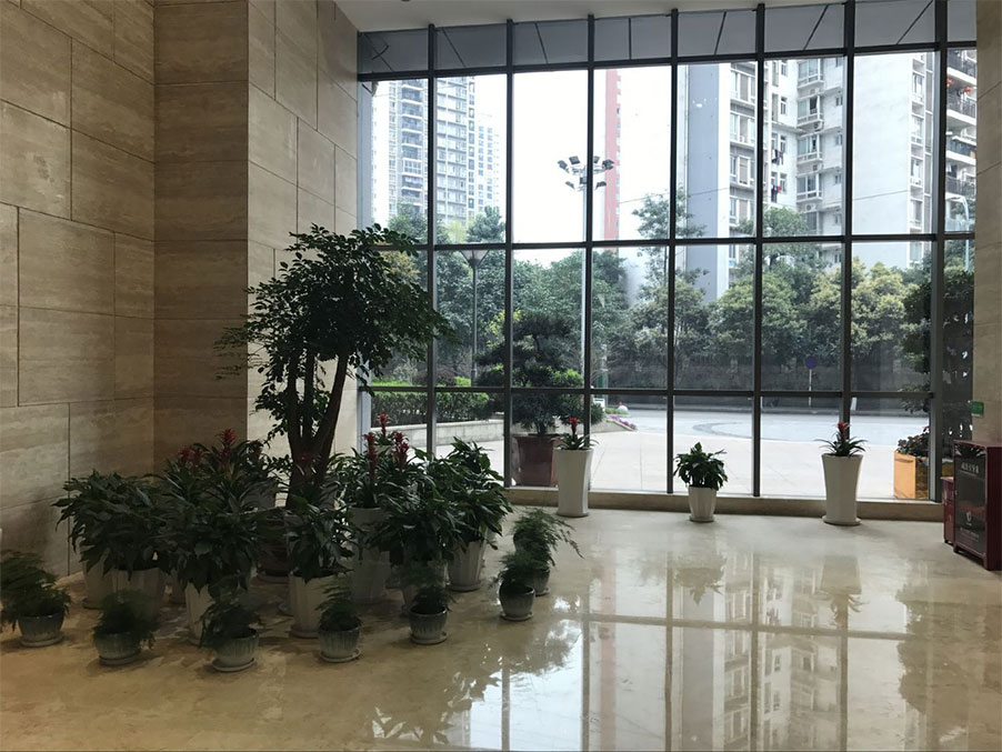 1521446294451.jpg 01.jpg